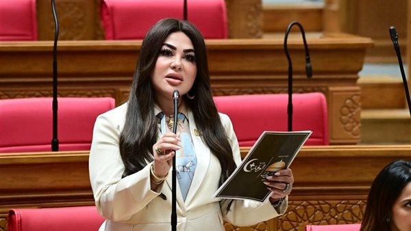 برلمانية الملحق التفسيري يعكس التزام القاهرة التاريخي بدعم جامعة الدول العربية برلمانية الملحق التفسيري يعكس التزام القاهرة التاريخي بدعم جامعة الدول العربية