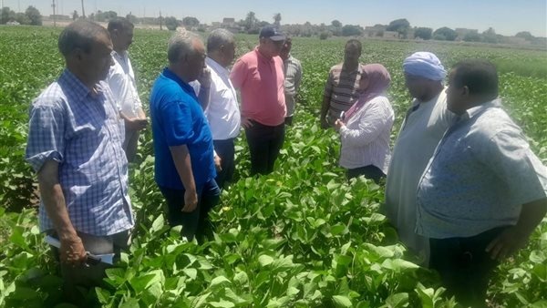 رئيس قطاع الخدمات يتابع الزراعات ومنظومة الري الحديث بالمنيا