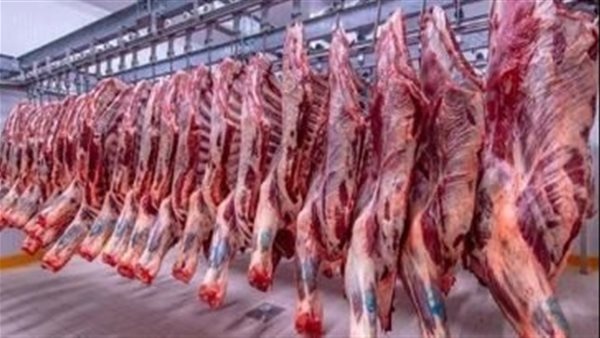 أسعار اللحوم اليوم في مصر بشرى سارة تسعد المصريين قبل عيد الأضحى