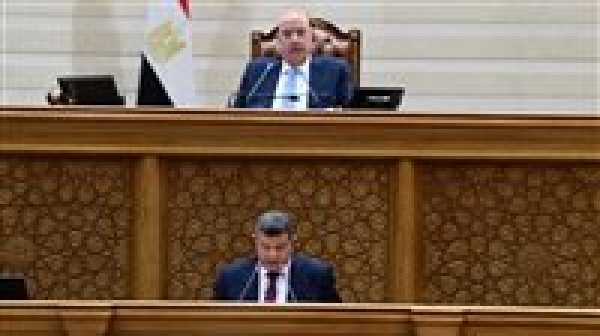 رئيس خطة النواب الموازنة الجديدة تستهدف فائض ا أولي ا 5 وخفض العجز إلى 4 9 مع زيادة الإنفاق على الأجور والحماية الاجتماعية