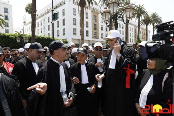 المحامون يجرون البلاد إلى المستنقع الجزائري المحامون يجرون البلاد إلى المستنقع الجزائري
