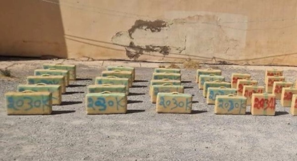 إحباط تهريب 350 كيلوغرام ا من الشيرا بميناء طنجة المتوسط وتوقيف سائق شاحنة للنقل الدولي