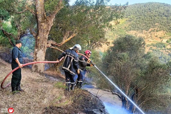 الجزائر استعادة التيار الكهربائي في 16 ولاية وجهود مكثفة لمحاصرة حرائق الغابات الجزائر استعادة التيار الكهربائي في 16 ولاية وجهود مكثفة لمحاصرة حرائق الغابات