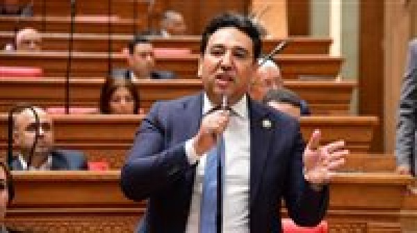 النائب أيمن محسب يتقدم بطلب إحاطة بشأن إطلالات الفنانين المثيرة للجدل في الفعاليات الفنية والحفلات العامة
