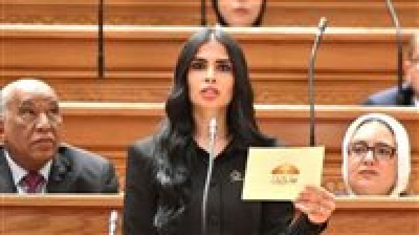 النائبة هايدي المغازي تتقدم بطلب إحاطة بشأن هيكل أجور أعضاء هيئة التدريس بالجامعات الحكومية