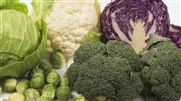 توصيات خبراء أطعمة هامة تحارب سرطان القولون توصيات خبراء أطعمة هامة تحارب سرطان القولون