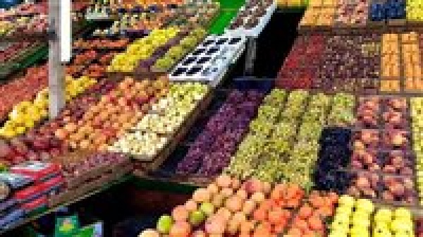 من البطيخ إلى الموز خريطة أسعار الفاكهة في الأسواق اليوم من البطيخ إلى الموز خريطة أسعار الفاكهة في الأسواق اليوم