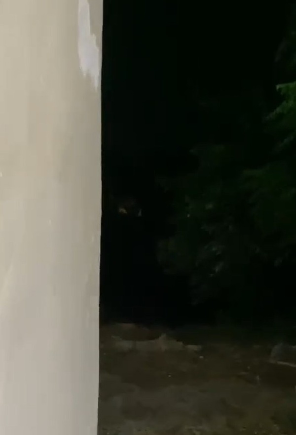 العدو الاسرائيلي نفذ حملة تمشيط في بلدة حداثا جنوب لبنان العدو الاسرائيلي نفذ حملة تمشيط في بلدة حداثا جنوب لبنان