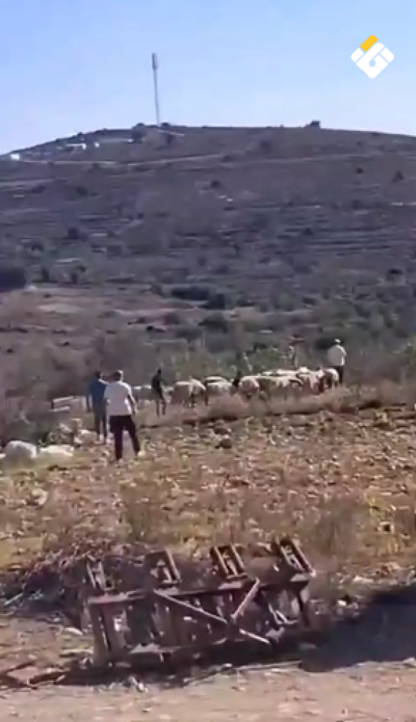 بالفيديو أهالي سنجل يتصد ون لمستوطن وقوات الاحتلال تقتحم المنطقة