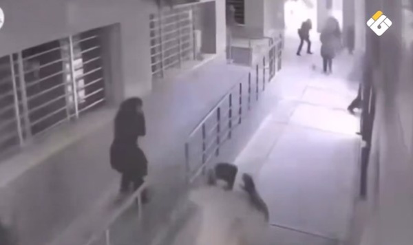 بالفيديو ممرضون ينقذون أطفالا حديثي الولادة من مستشفى في بوشهر خلال العدوان