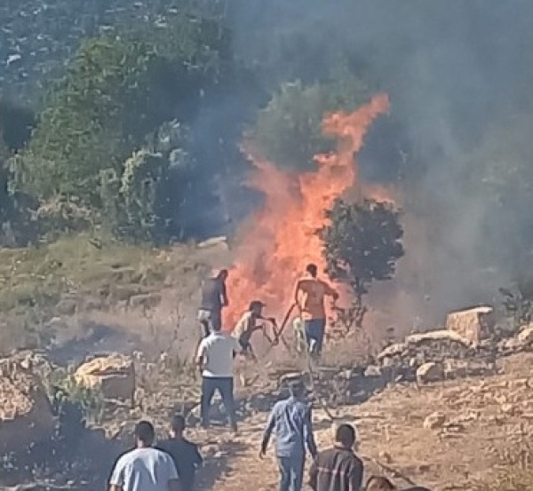 اندلاع حريق بمنطقة زراعية في جرود الضنية شمال لبنان اندلاع حريق بمنطقة زراعية في جرود الضنية شمال لبنان