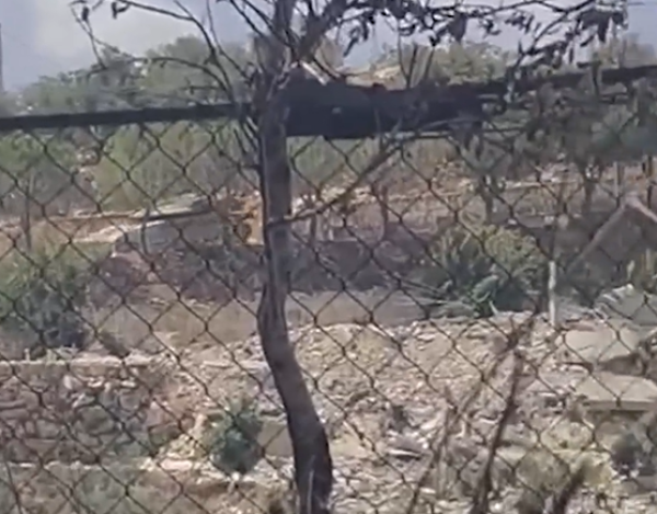 بالفيديو قصف مدفعي وتحرك لآليات الاحتلال عند أطراف عيتا الجبل بالفيديو قصف مدفعي وتحرك لآليات الاحتلال عند أطراف عيتا الجبل