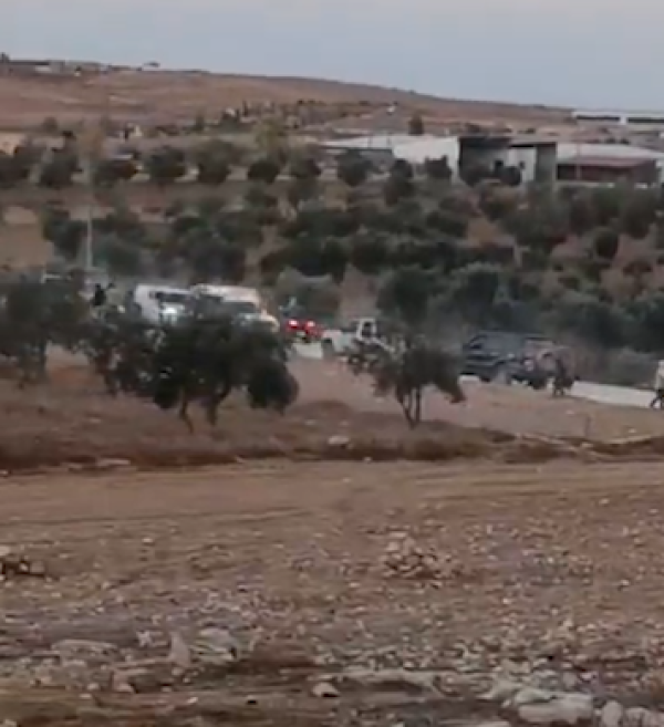 مستوطنون صهاينة يختطفون ويقتلون عشرات الأغنام الفلسطينية مستوطنون صهاينة يختطفون ويقتلون عشرات الأغنام الفلسطينية