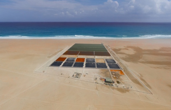 مرحلة جديدة لقطاع الملح الع ماني ترتكز على الصناعات المتخصصة مرحلة جديدة لقطاع الملح الع ماني ترتكز على الصناعات المتخصصة