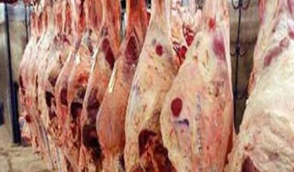 بشرى سارة انخفاض هام كلغ العلوش ب40 دينار في هذه الجهة بشرى سارة انخفاض هام كلغ العلوش ب40 دينار في هذه الجهة