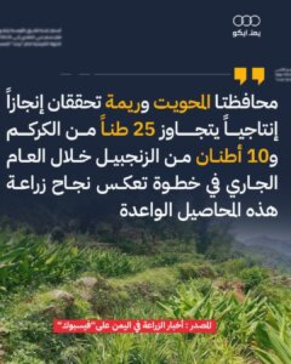 محافظتا المحويت وريمة تحققان إنجازا إنتاجيا في زراعة الكركم والزنجبيل