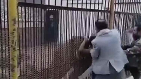 اليمن أسد يتسبب في بتر يد طفل داخل حديقة الحيوان بصنعاء اليمن أسد يتسبب في بتر يد طفل داخل حديقة الحيوان بصنعاء