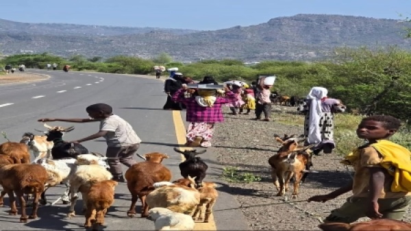 جنيف أكثر من 5 آلاف ضحية للنزاع المتصاعد في اليمن خلال شهرين جنيف أكثر من 5 آلاف ضحية للنزاع المتصاعد في اليمن خلال شهرين