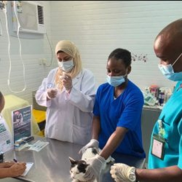 وقاء يطلق حملة تحصين الحيوانات الأليفة ضد مرض السعار في مناطق المملكة وقاء يطلق حملة تحصين الحيوانات الأليفة ضد مرض السعار في مناطق المملكة