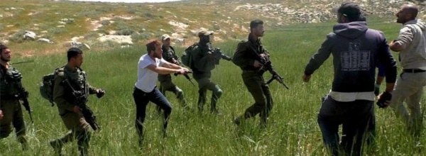 مستوطنون ينفذون اعتداءات على الفلسطينيين وممتلكاتهم في الضفة مستوطنون ينفذون اعتداءات على الفلسطينيين وممتلكاتهم في الضفة