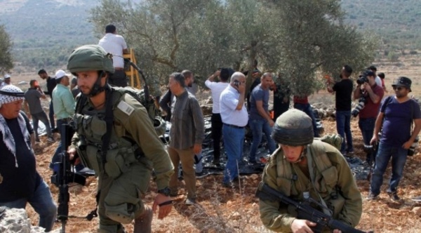 مستوطنون يواصلون اعتداءاتهم على الفلسطينيين وممتلكاتهم في مناطق متفرقة من الضفة مستوطنون يواصلون اعتداءاتهم على الفلسطينيين وممتلكاتهم في مناطق متفرقة من الضفة