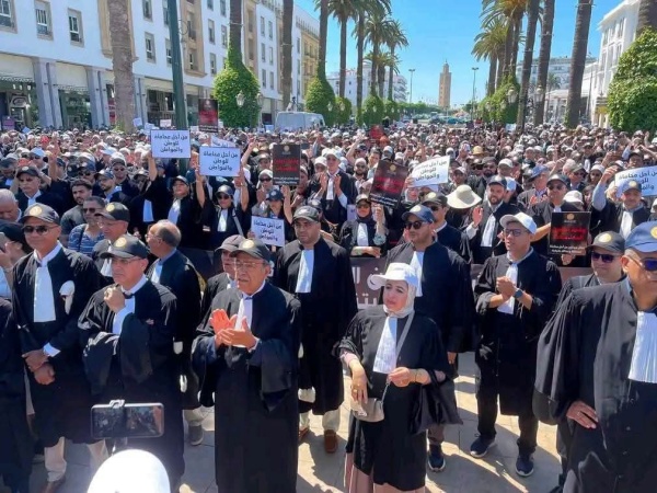 جمعية هيئات المحامين بالمغرب تصع د احتجاجها وتعلن نقل المعركة إلى الجهات مع تفعيل المسار الدولي جمعية هيئات المحامين بالمغرب تصع د احتجاجها وتعلن نقل المعركة إلى الجهات مع تفعيل المسار الدولي