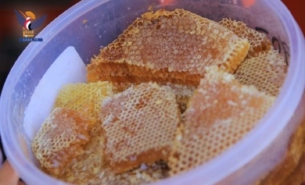 العسل اليمني من مورد طبيعي إلى ركيزة واعدة للصناعة الدوائية