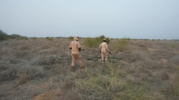 اليمن مسام ي طهر 18 ألف متر مربع من مزارع ميدي في أغسطس الماضي اليمن مسام ي طهر 18 ألف متر مربع من مزارع ميدي في أغسطس الماضي