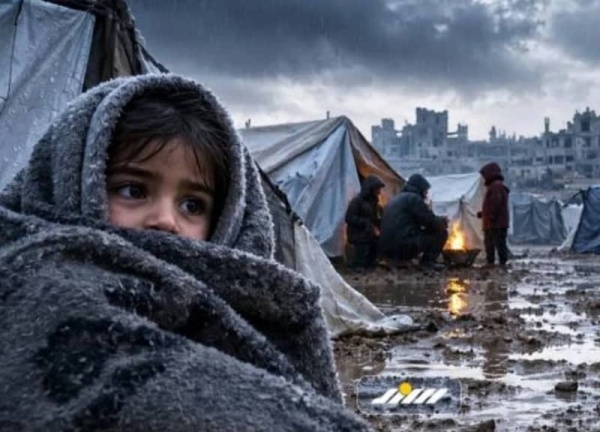 منظمات أهلية بغزة تحذ ر من شتاء كارثي 75 من خيام النازحين غير صالحة للحماية