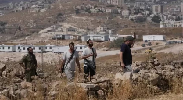 إصابة شاب فلسطيني وسرقة الزيتون وحرق مركبتين في اعتداءات منفصلة في سلفيت وطولكرم ونابلس