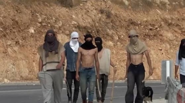 بيت لحم مستوطنون يهاجمون موكب زفاف في خلايل اللوز
