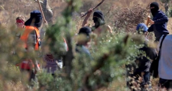 إصابة فلسطيني واعتقال آخر خلال اعتداءات للمستوطنين الصهاينة جنوب الخليل