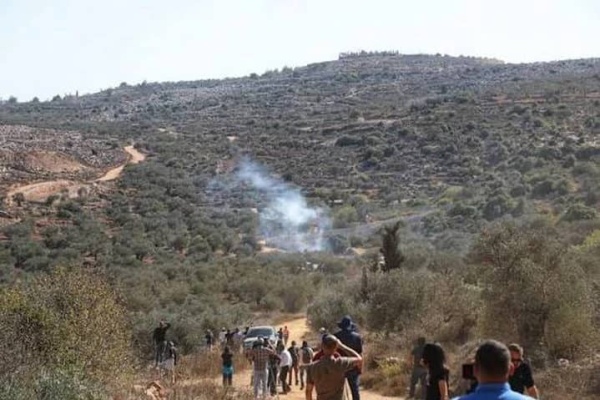 العدو الصهيوني يمنع فلسطينيين من قطف الزيتون ويحتجز نساء في سلفيت العدو الصهيوني يمنع فلسطينيين من قطف الزيتون ويحتجز نساء في سلفيت