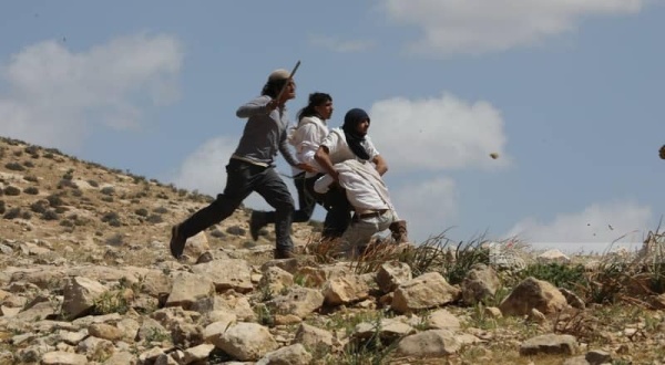 136 اعتداء للعدو الصهيوني والمستوطنين على موسم الزيتون في فلسطين منذ مطلع أكتوبر