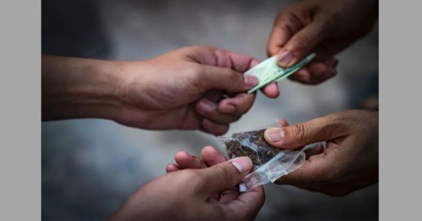كميات هامة من المواد المخدرة في البلاد الأستاذ الحزامي يطرح حزمة من الأسئلة