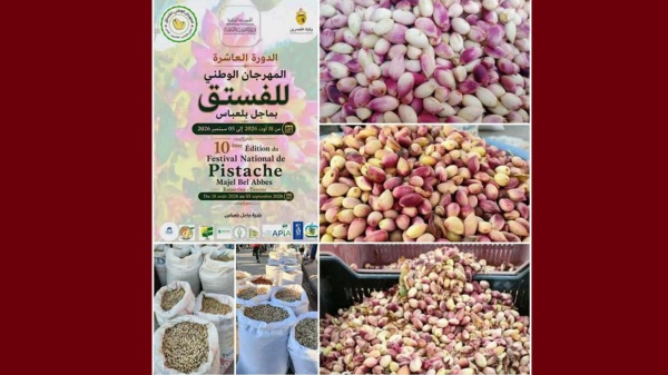 القصرين ماجل بلعباس تحتفل بمهرجان الفستق في دورته العاشرة