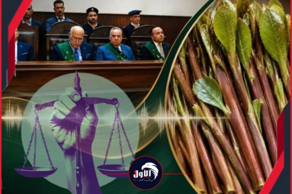 إحالة أوراقه للمفتي القات يقود يمني إلى حبل المشنقة في مصر إحالة أوراقه للمفتي القات يقود يمني إلى حبل المشنقة في مصر
