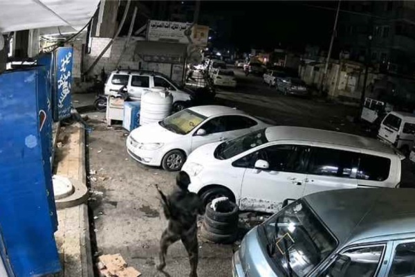 بالفيديو توثيق لحظة إطلاق النار على دورية أمنية في عدن