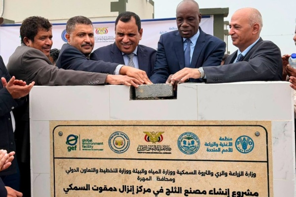 السقطري والشرجبي يفتتحان مركزي الإنزال السمكي بحوف ودمقوت ويضعان حجر الأساس لمصنع ثلج بدمقوت السقطري والشرجبي يفتتحان مركزي الإنزال السمكي بحوف ودمقوت ويضعان حجر الأساس لمصنع ثلج بدمقوت