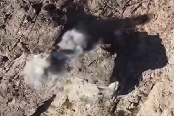 شاهد مقطع مصور يوثق عملية خاطفة ل للفرقة الثانية طوارئ في صعدة شاهد مقطع مصور يوثق عملية خاطفة ل للفرقة الثانية طوارئ في صعدة