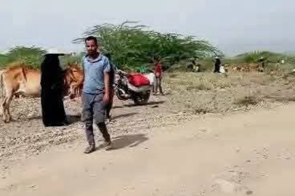 مقبنة تحت وطأة التصعيد عشرات الأسر تهرب من قراها مع اشتداد المواجهات غربي تعز مقبنة تحت وطأة التصعيد عشرات الأسر تهرب من قراها مع اشتداد المواجهات غربي تعز