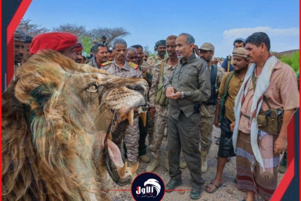 أسد الحروب يزأر من خطوط النار فيديو لعضو الرئاسي الفريق الصبيحي هو يتفقد جبهتي باب المندب وطور الباحة