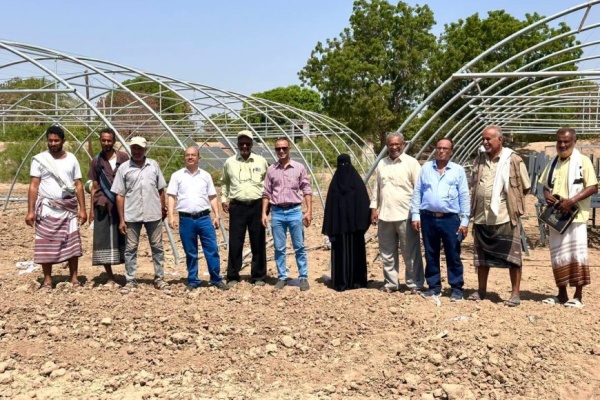 الإرشاد الزراعي والفاو يتفقدان أعمال تركيب البيوت المحمية في لحج الإرشاد الزراعي والفاو يتفقدان أعمال تركيب البيوت المحمية في لحج