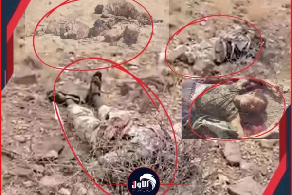 مصادر تكشف تناثر جثث عناصر مليشيا الحوثي على امتداد جبهات تعز