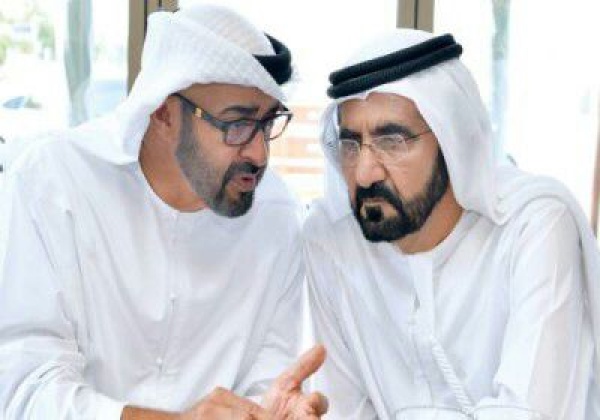 ما هي الإمارات ما دورها