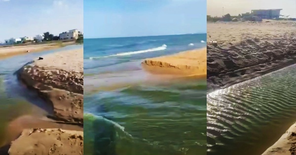 سكب مياه الصرف الصحي ببحر رواد المجلس المحلي يناشد الرئيس للتدخل فيديو