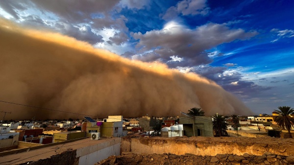 صورة اليوم من دوز نشر و تعليق المهندس البيئي حمدي حشاد