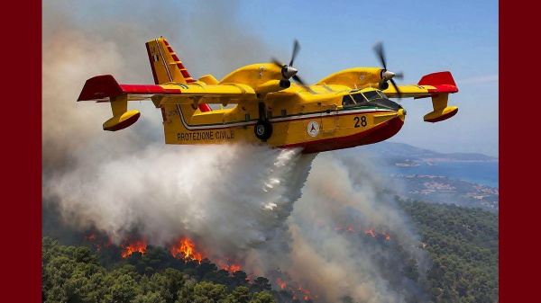الكرباعي إيطاليا تستجيب لطلب تونس وترسل لها canadair لاخماد الحرائق