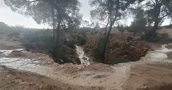 سبيطلة أمطار غزيرة بمنطقة تيوشة سيدي عبد الله فيديو