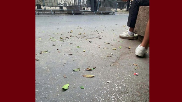 صورة اليوم من أمام قصر العدالة أين يمثل التلميذ آدم مبارك امام القاضي تنشرها صفحة الموفما صورة اليوم من أمام قصر العدالة أين يمثل التلميذ آدم مبارك امام القاضي تنشرها صفحة الموفما